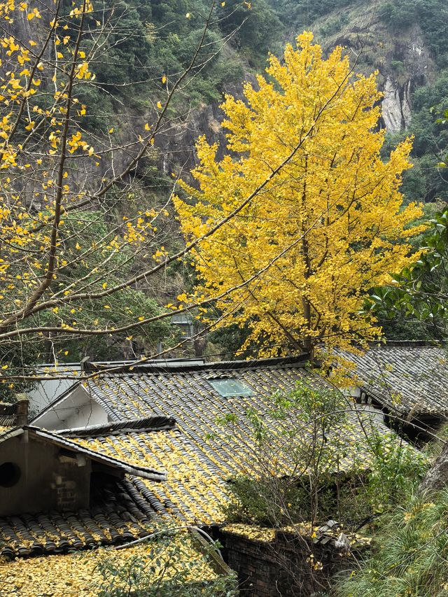 陶公洞