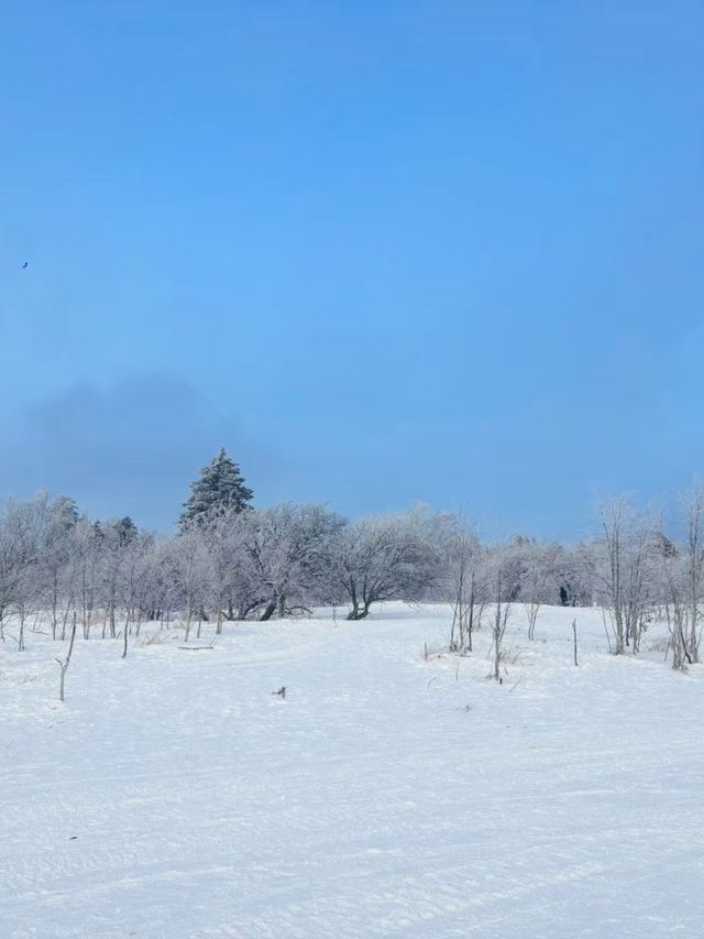 長白山‖延吉‖5天旅遊攻略詳解來啦，收藏起來吧！