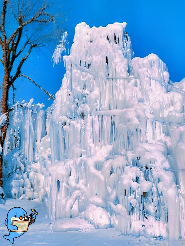 長春冰雪新天地超詳細攻略 | 暢玩冰雪不踩雷