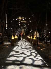 Experience the Magic of Christmas at Karuizawa Kogen Church