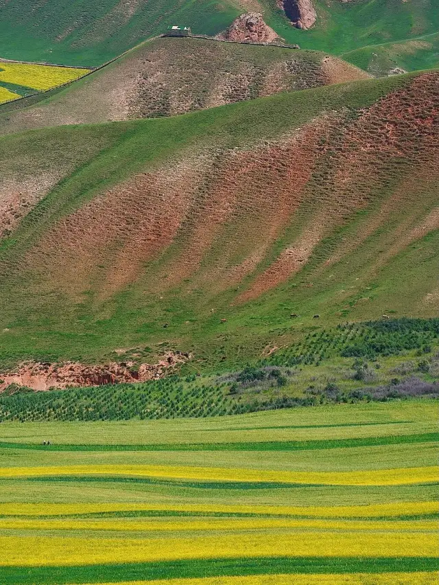 6-Day Zhangye-Haibei-Haixi Itinerary to Amaze Your Friends