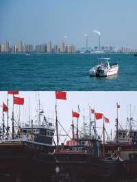 原生態的龍口桑島，村民以養海參為生