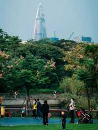 深圳四海公園超詳細遊玩攻略！