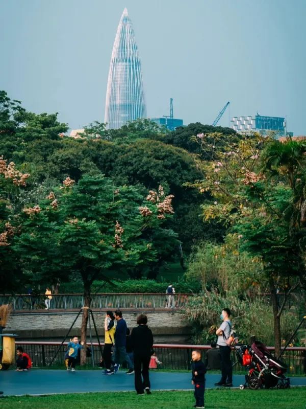 深圳四海公園超詳細遊玩攻略！