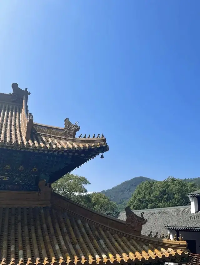 Putuoshan | My Little Notes