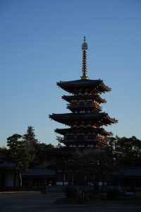 走進奈良藥師寺