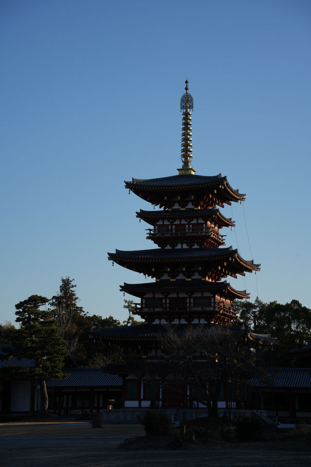 走進奈良藥師寺