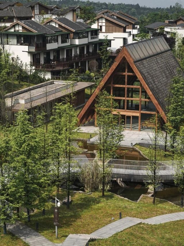 逃離城市！四面山裏撒歡聚會啦