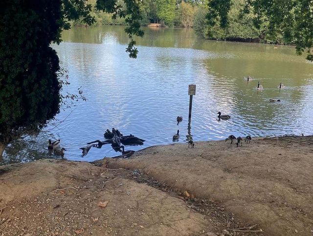 克勞利沃斯公園：我的英倫田園夢