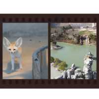 探秘安徽大青山野生動物園，邂逅自然野性之美