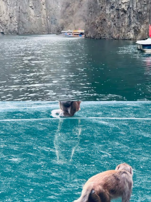 這不是冰島也不是挪威而是山西通天峽