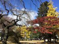 木下公園