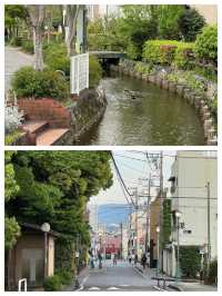 三島市：日本嘅寧靜同魅力之地