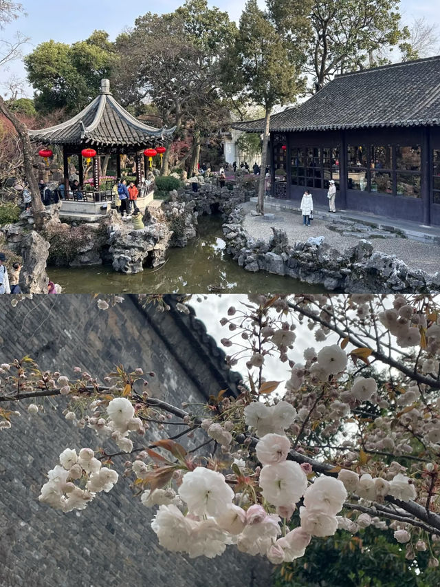 揚州很美，但不會再去了…