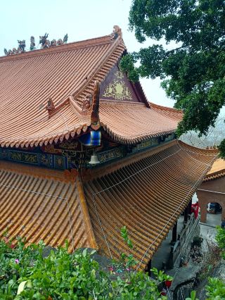 江門·鶴山·周末大雁山徒步