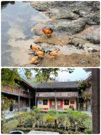 饞哭了！榉溪村必食的 N 種地道美食大揭秘