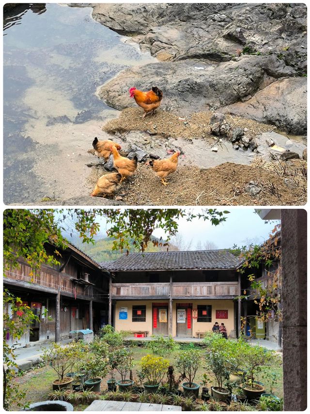 饞哭了！榉溪村必食的 N 種地道美食大揭秘