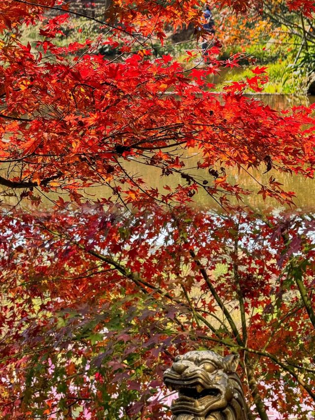 廣州出發1.5h直達廣東紅色天花板