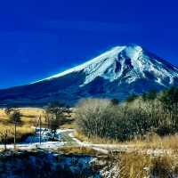 東京周邊@富士山一合目啦