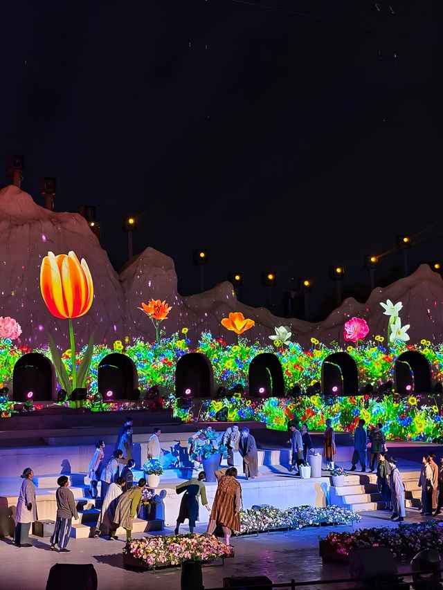 武漢花博匯七彩祥雲太太太好睇啦 武漢花博匯七彩祥雲太太太好睇啦