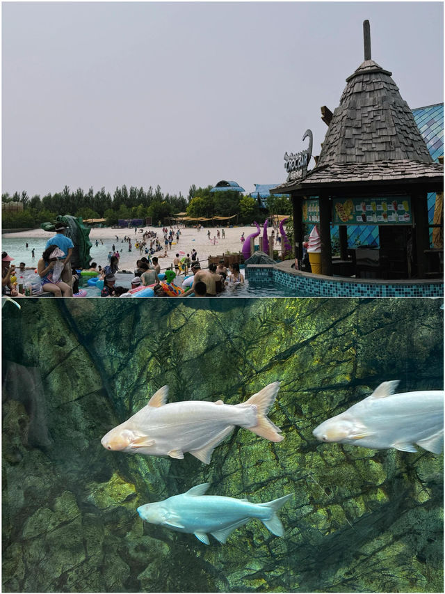 親子遊玩波塞冬，這篇攻略一定要看