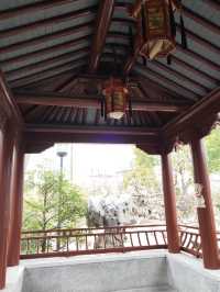 真如公園梅花景