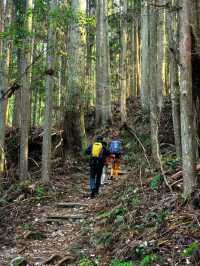 櫻花季怎能不來熊野古道遠足！