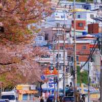 釜山🌸 是一個巨大的童話🏡 四日路線美食攻略
