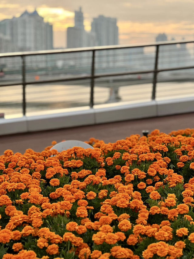 廣州漫遊：從鬧市繁華到海心沙的靜謐