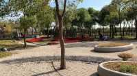 上海嘉北郊野公園嘅秋季遊記：金色稻田與田園風光