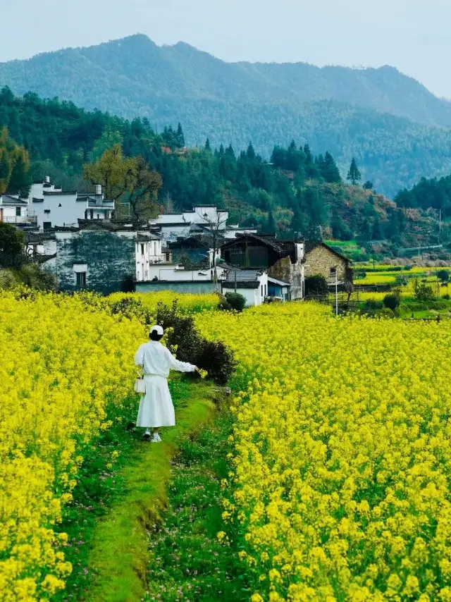 Wuyuan Rapeseed Flower Season: Unlock the Spring-exclusive "Most Beautiful Village in China"