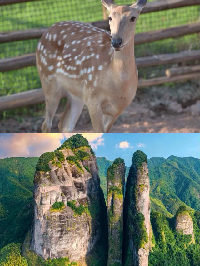 衢州之旅已結束，分享一些真實感受。