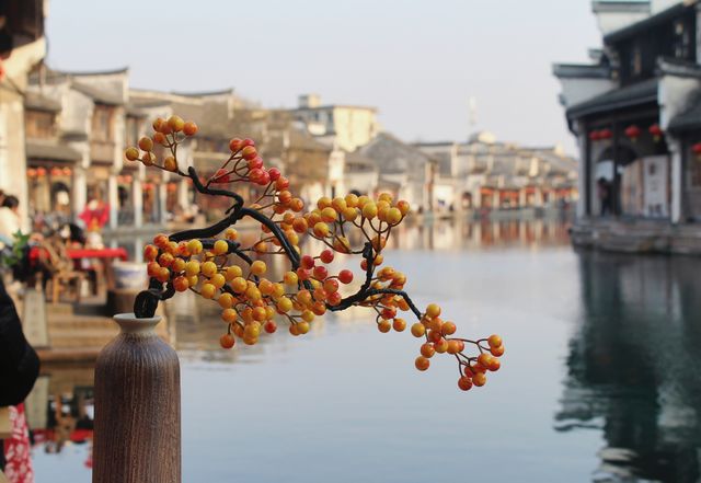 0元5A景區杭州出發半小時直達 
