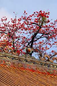 3.11實拍國畫裡的春色滿園關不住