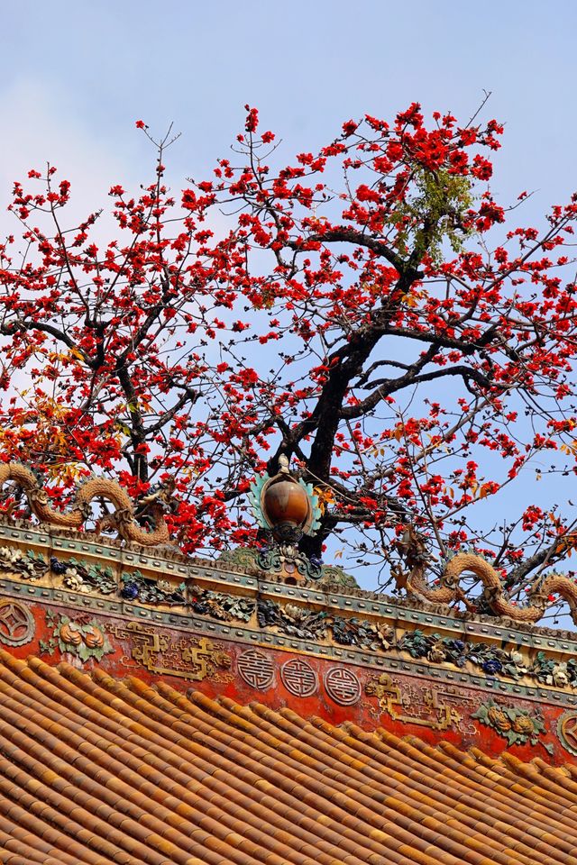 3.11實拍國畫裡的春色滿園關不住