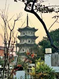 因歌赴泉城，茶香漫心間