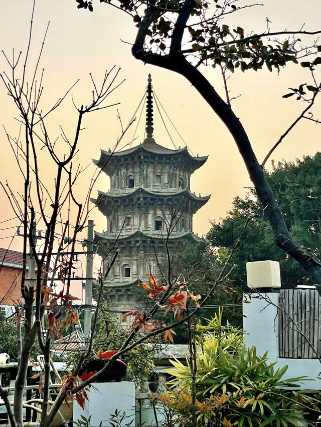 因歌赴泉城，茶香漫心間