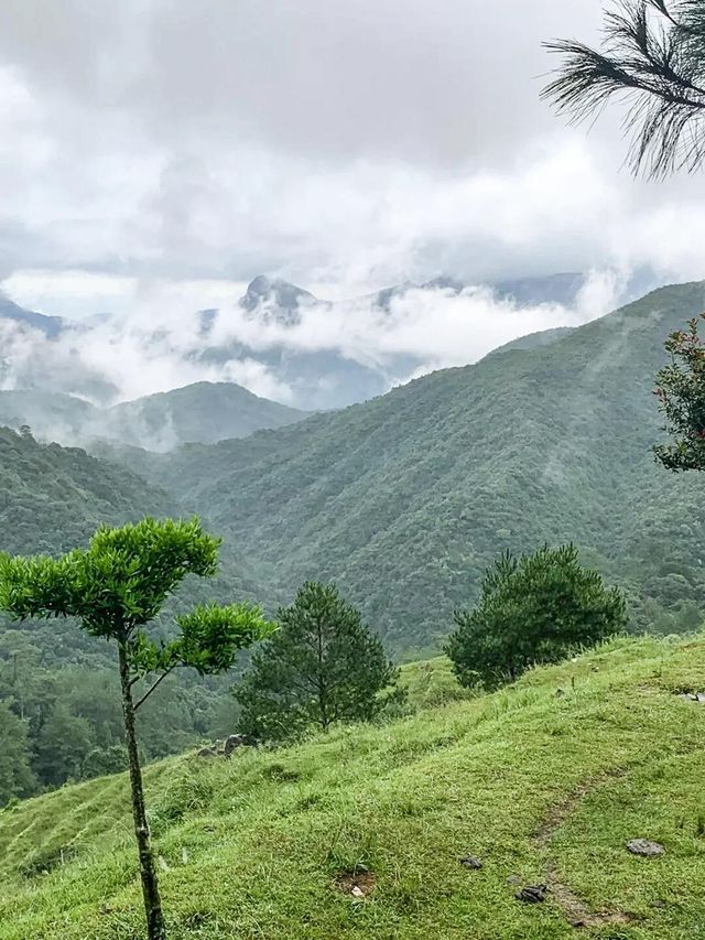 向山而居在高山梯田露營看日出日落！