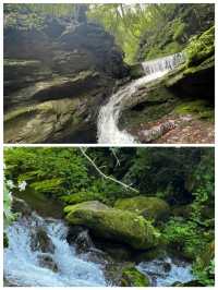 六盤山國家森林公園樹木茂盛天然氧吧呼吸清爽快來