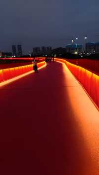 深圳虹橋公園 | 藏在城市裡的「紅色飄帶」！森林徒步+空中棧橋