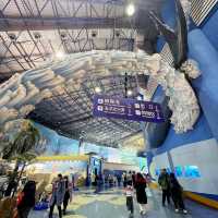 Under the sea! 
