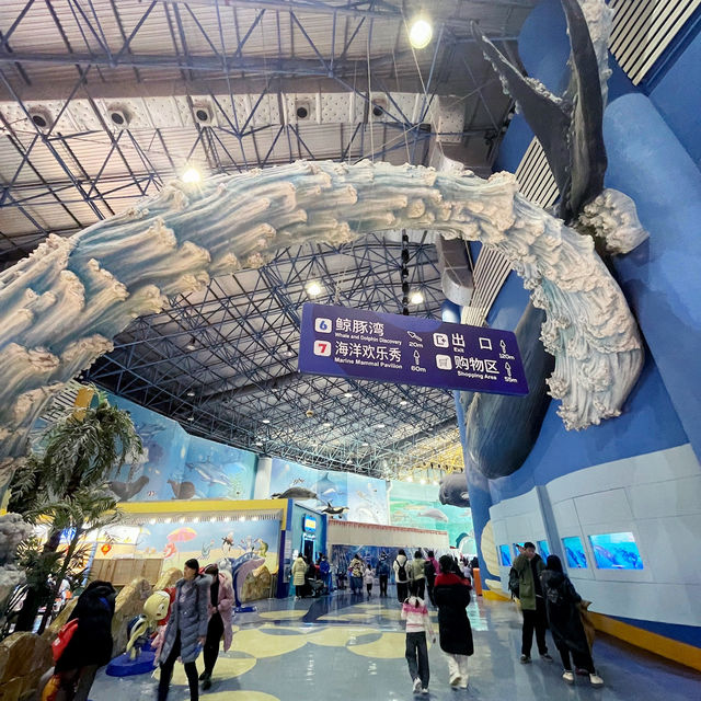 Under the sea! 