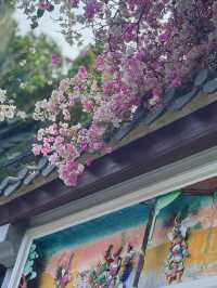 深圳園博園，邂逅絕美花海附拍照攻略