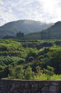 行安山古道住馬放瀾山