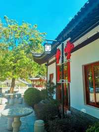 深圳陽臺山森林公園 | 城市中的自然寶藏