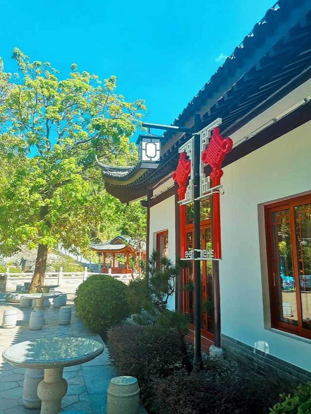 深圳陽臺山森林公園 | 城市中的自然寶藏