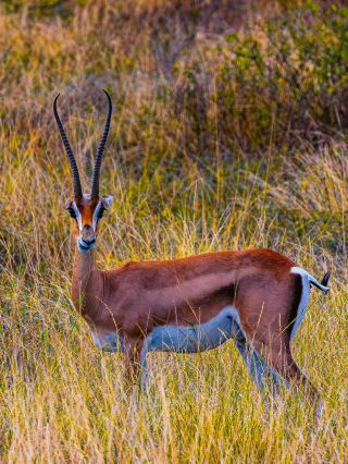 24-Day Multi-Country Tour Through Ethiopia and More: A Detailed Guide