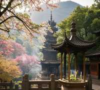春日奔赴青秀山，邂逅金黃浪漫