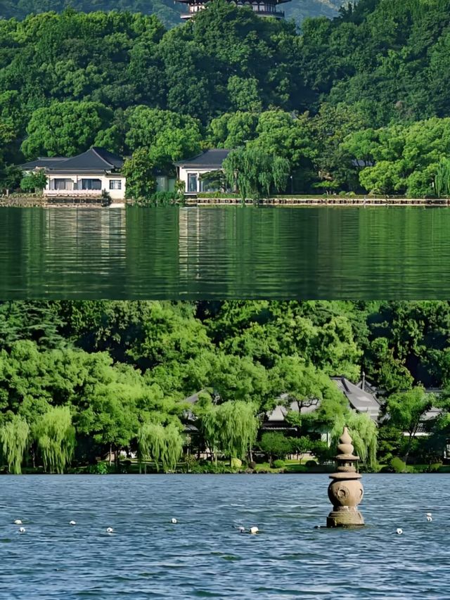 【杭州西湖，美到窒息！】