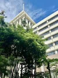 書香湖畔：漫步深圳大學城的詩意時光